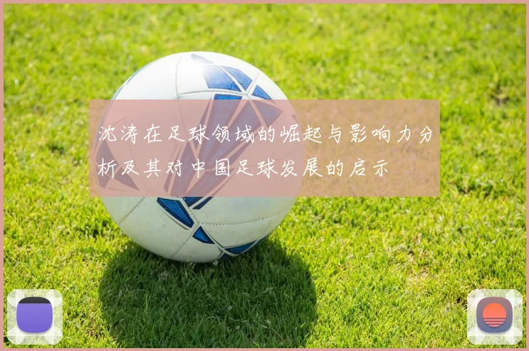 沈涛在足球领域的崛起与影响力分析及其对中国足球发展的启示