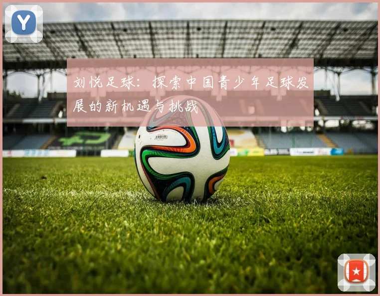 刘悦足球：探索中国青少年足球发展的新机遇与挑战