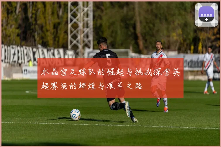 水晶宫足球队的崛起与挑战探索英超赛场的辉煌与艰辛之路