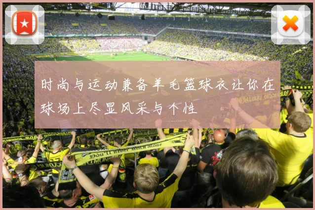 时尚与运动兼备羊毛篮球衣让你在球场上尽显风采与个性